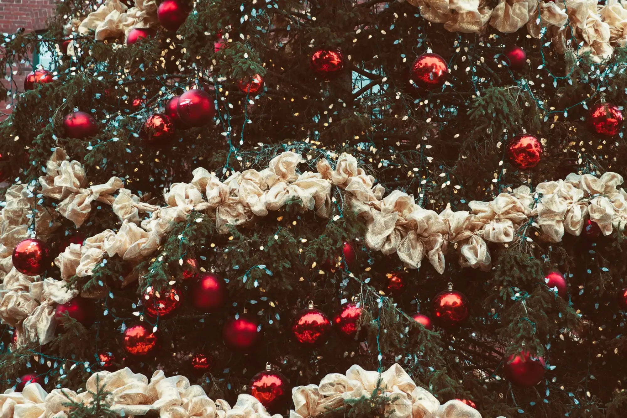 A lush evergreen christmas tree adorned with shiny red ornaments and cream-colored fabric garlands.