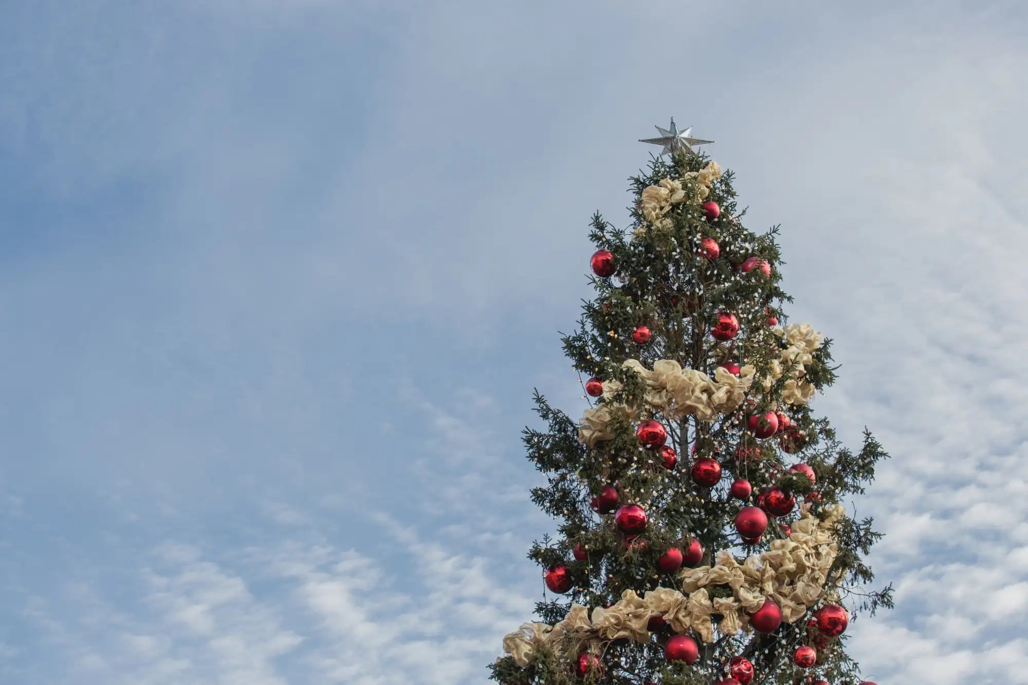 A tall, evergreen christmas tree adorned with shiny red ornaments and cream-colored ribbons, topped with a silver star.